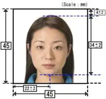 Japan Visa Application Form